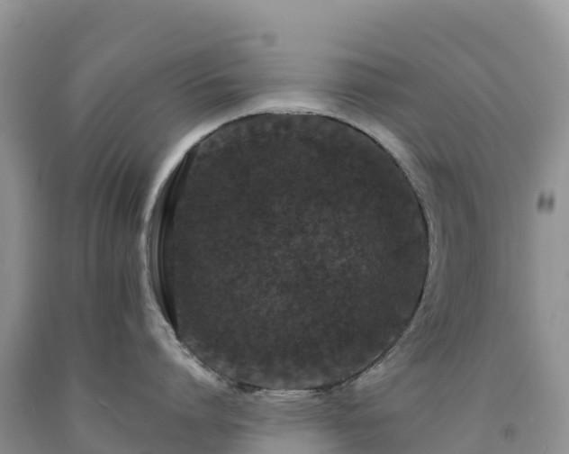 X0000092080864200709191223