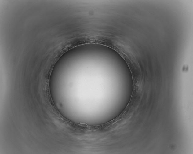 X0000092080865200709191223