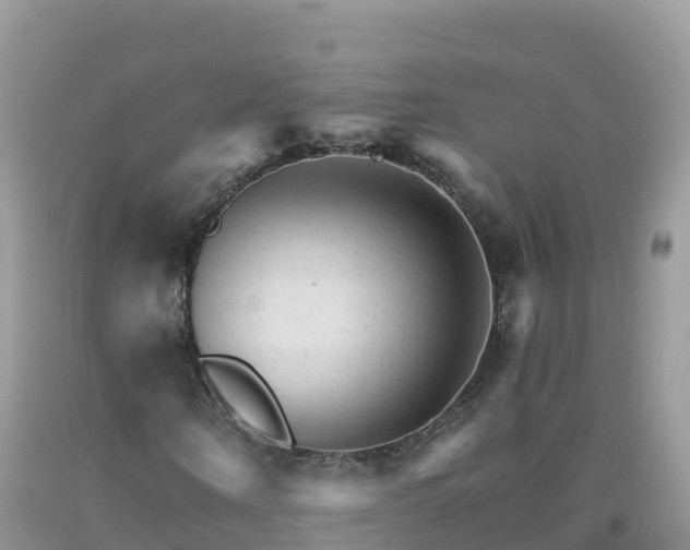 X0000092080866200709191223