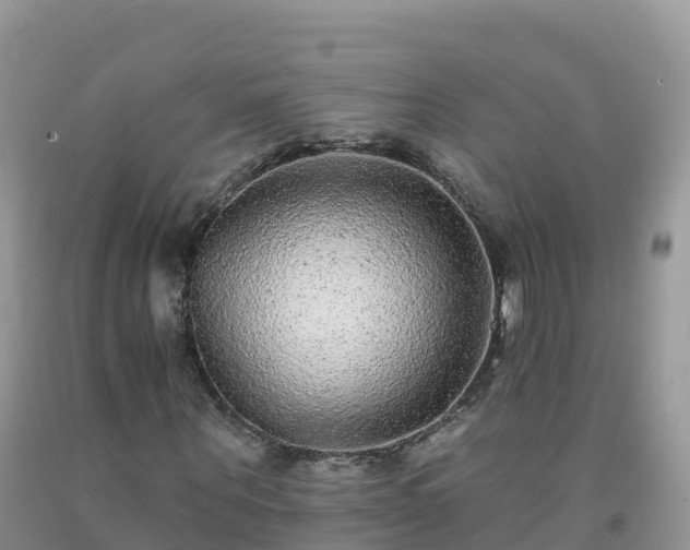 X0000092080867200709191223