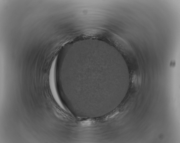X0000092080868200709191223
