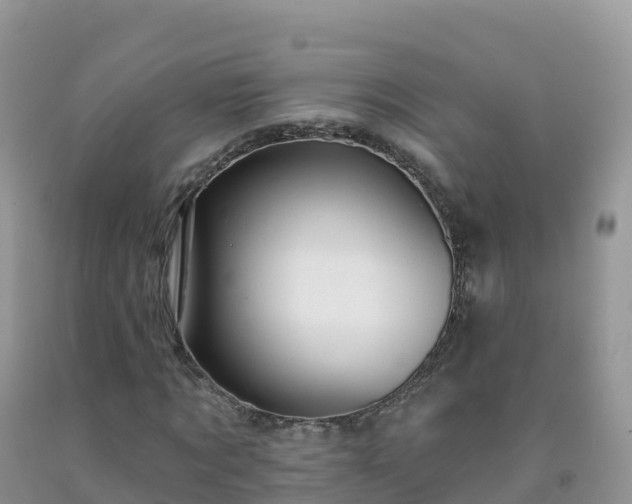 X0000092080869200709191223
