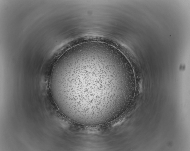 X0000092080870200709191223