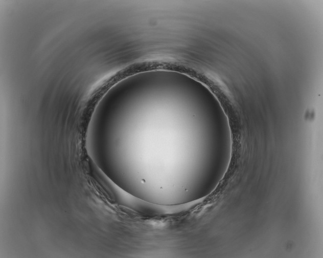 X0000092080872200709191223