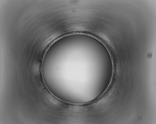 X0000092080873200709191223