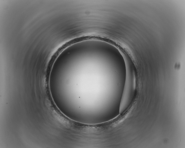 X0000092080880200709191222