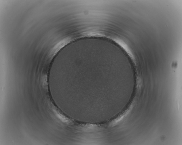 X0000092080881200709191222