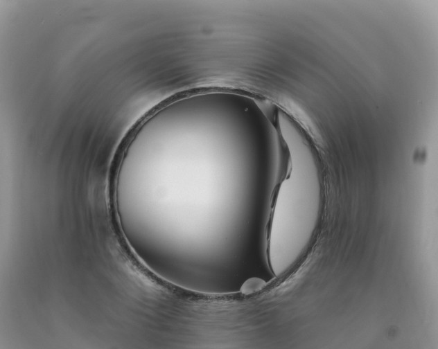 X0000092080884200709191222