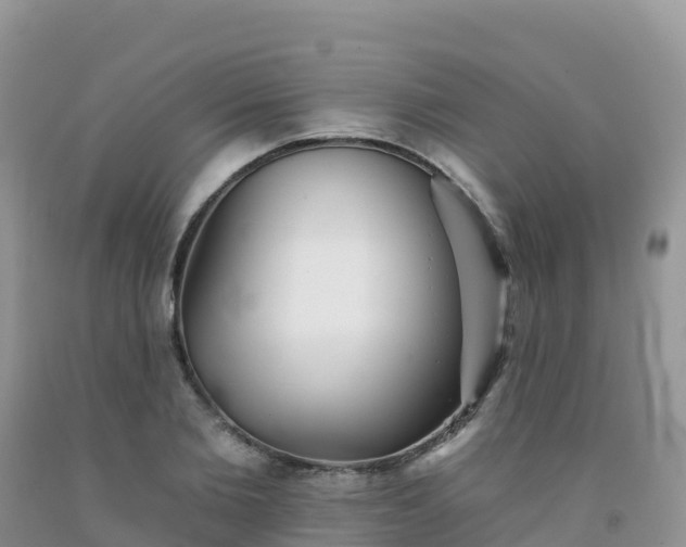 X0000092080885200709191222