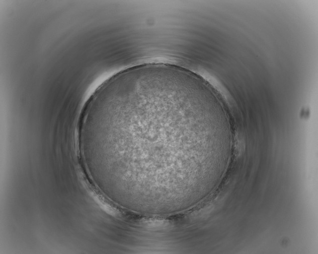 X0000092080886200709191222