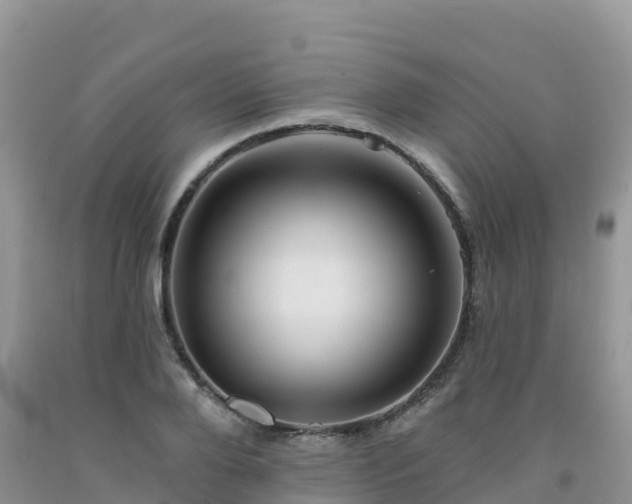 X0000092080888200709191222