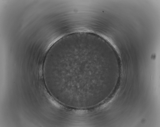 X0000092080889200709191222