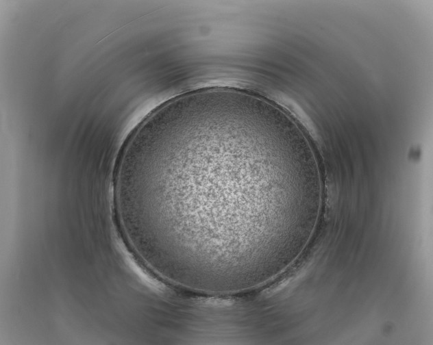 X0000092080890200709191222