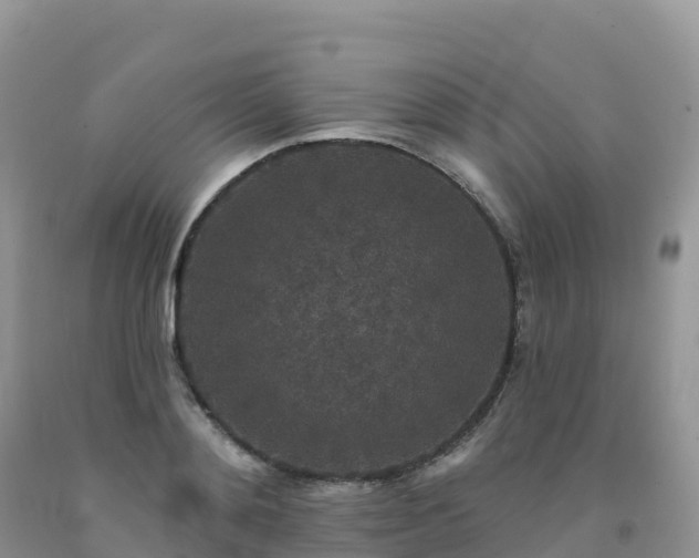 X0000092080892200709191222