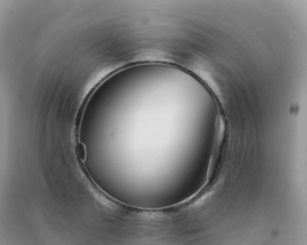 X0000092080893200709191222