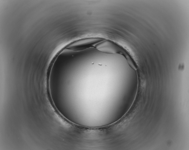 X0000092080894200709191222
