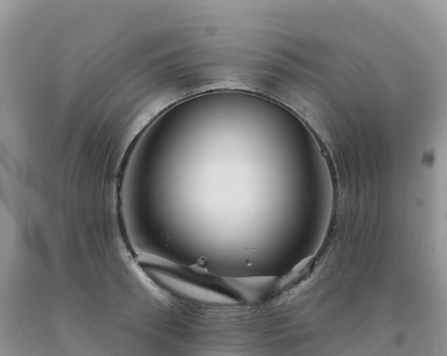 X0000092080898200709191222