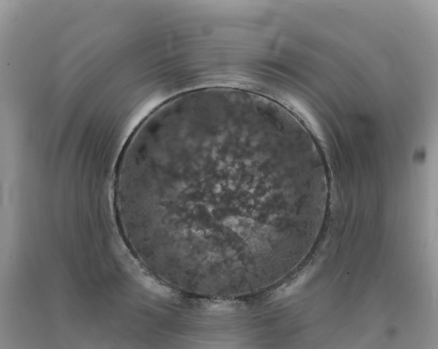 X0000092080899200709191222