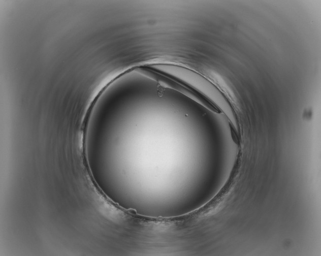 X0000092080900200709191222