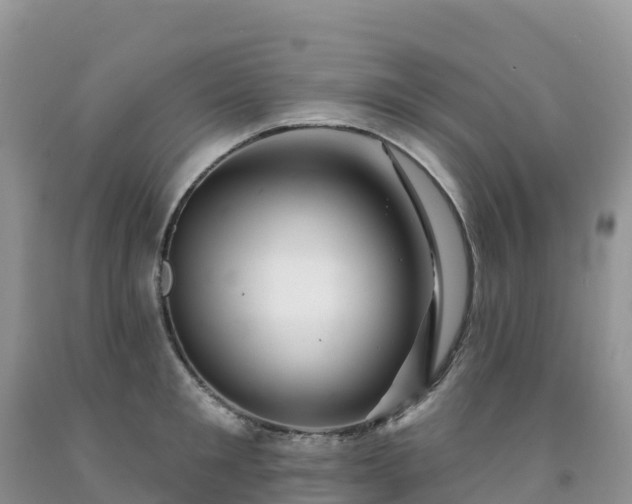 X0000092080901200709191222