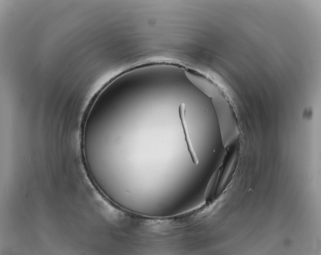 X0000092080902200709191222