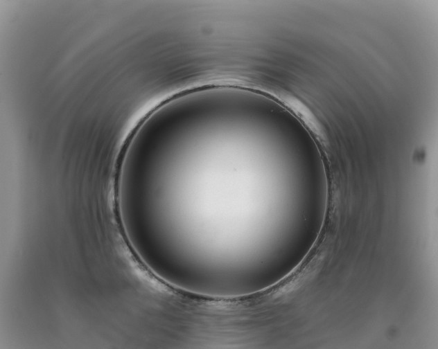 X0000092080904200709191222