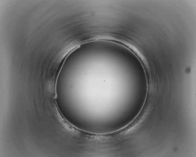 X0000092080905200709191222