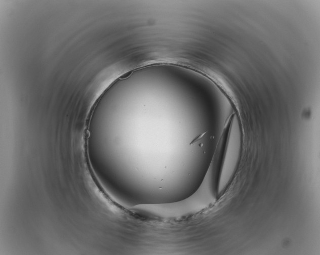 X0000092080906200709191222