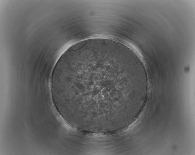 X0000092080907200709191222