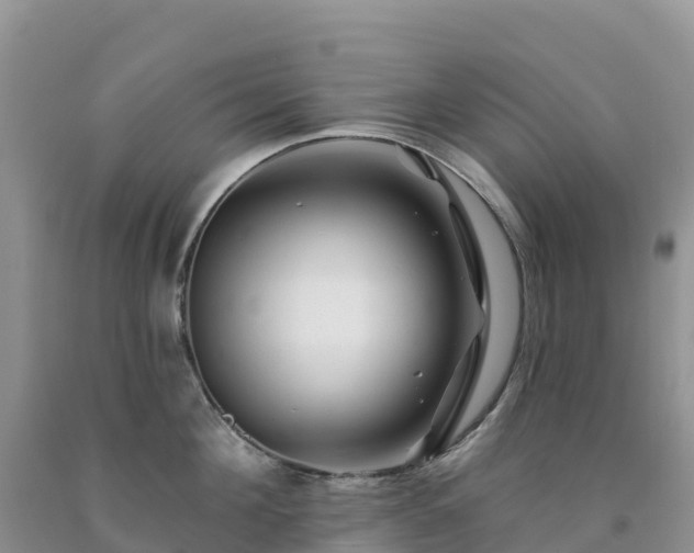 X0000092080908200709191222