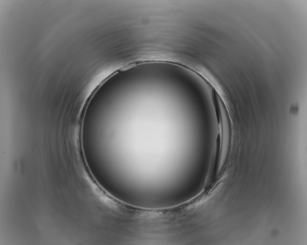 X0000092080909200709191222