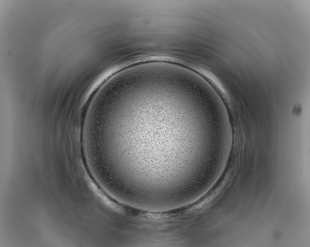 X0000092080910200709191222