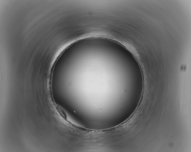 X0000092080912200709191222
