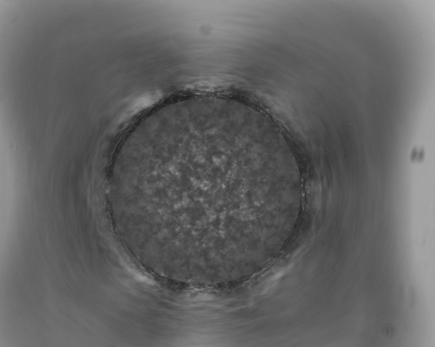 X0000092080913200709191221