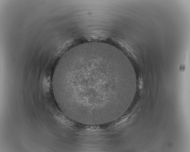 X0000092080915200709191221