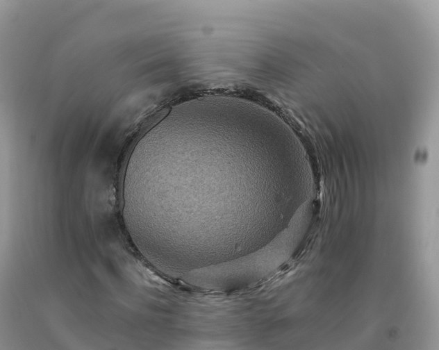 X0000092080916200709191221