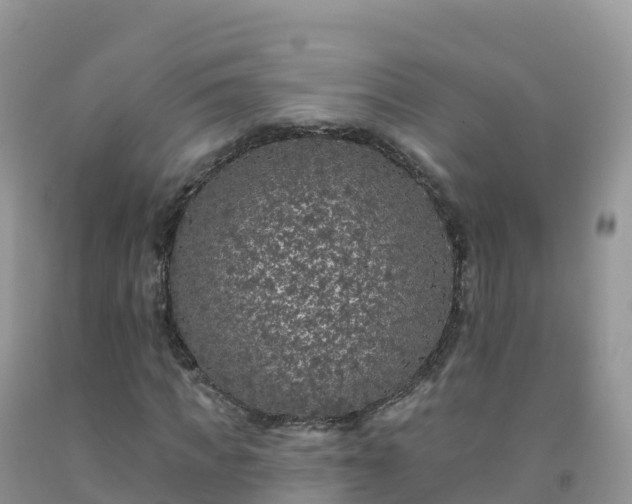 X0000092080917200709191221