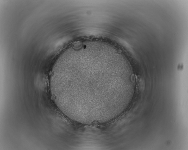 X0000092080918200709191221