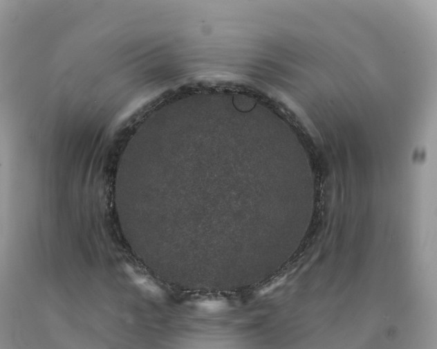 X0000092080919200709191221