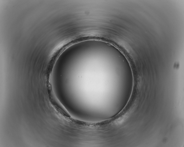 X0000092080922200709191221