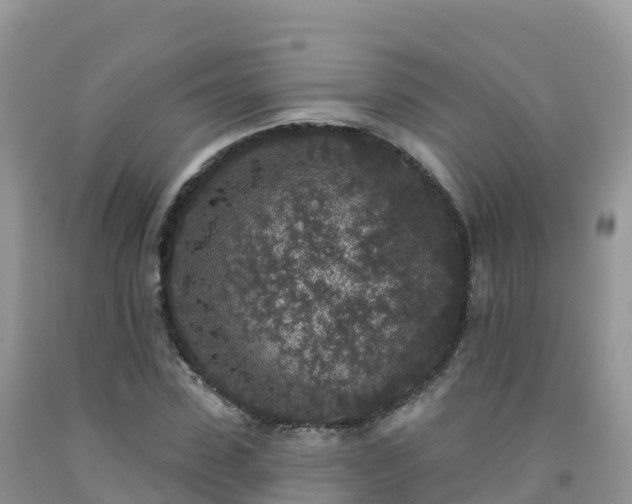 X0000092080923200709191221