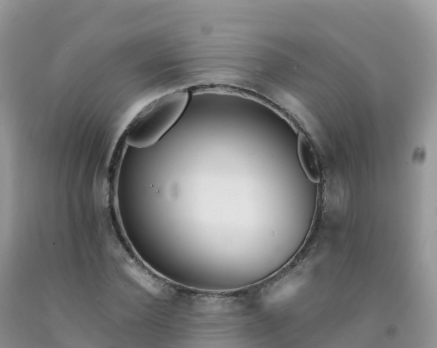 X0000092080924200709191221