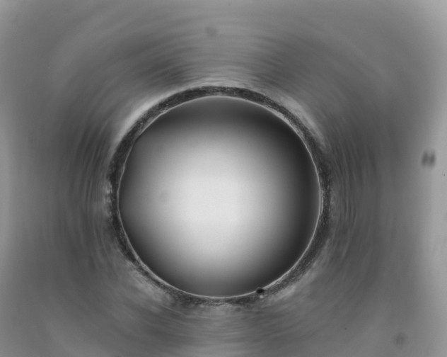 X0000092080926200709191221