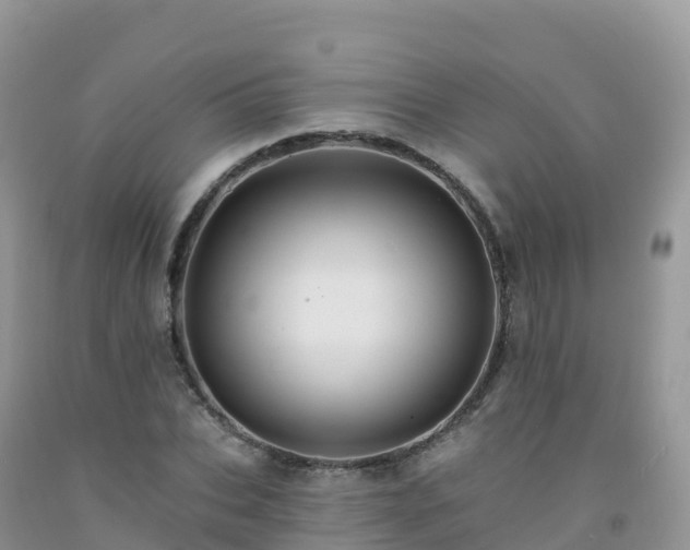 X0000092080927200709191221