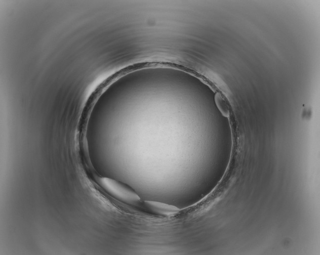 X0000092080928200709191221