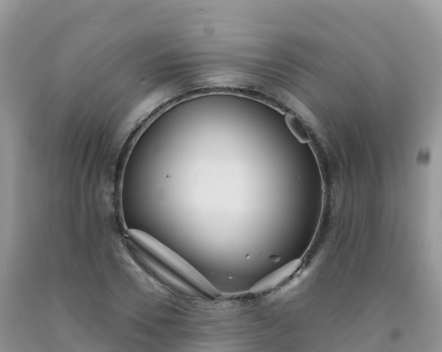 X0000092080930200709191221