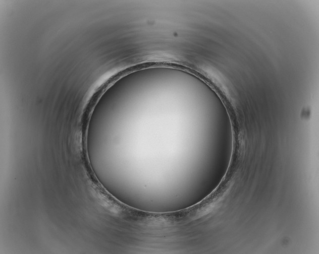 X0000092080931200709191221