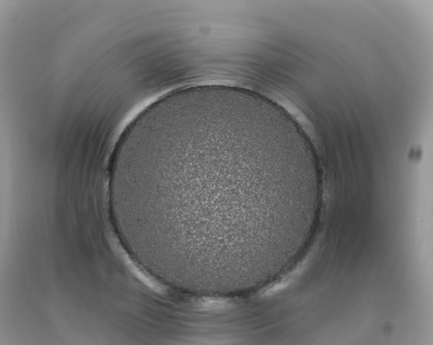 X0000092080933200709191221