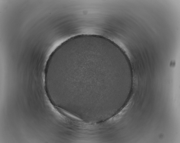 X0000092080935200709191222