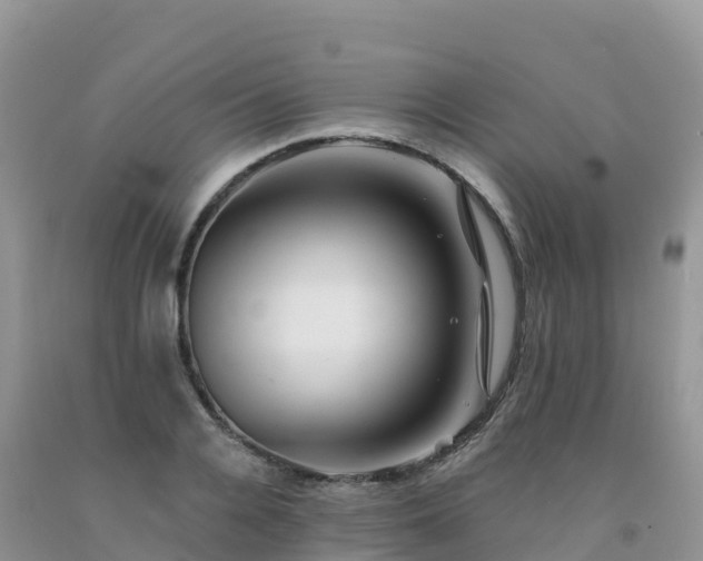 X0000092080936200709191222
